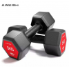 581  DUMBBELL  10KG